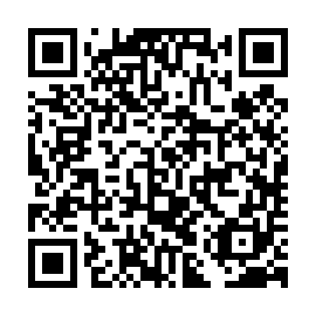 QR code for DMR 450