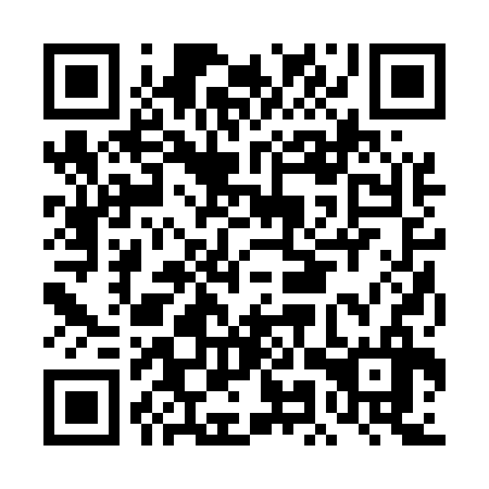QR code for DMR536