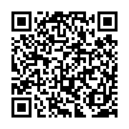 QR code for plate DMR 613