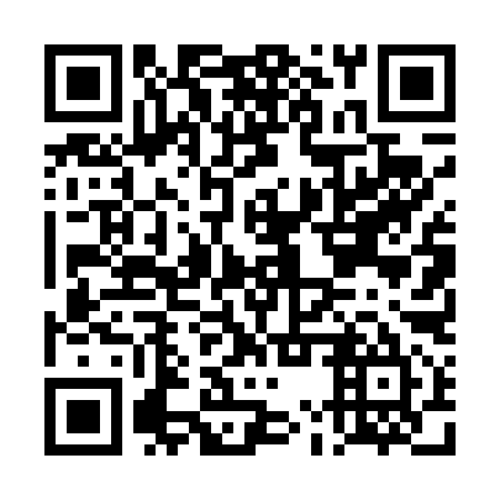 QR code for DMT495