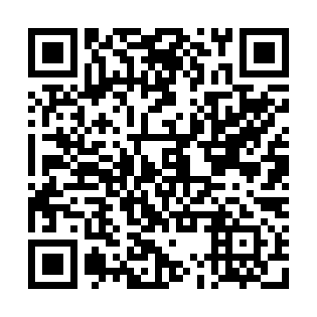 QR code for DMV 291