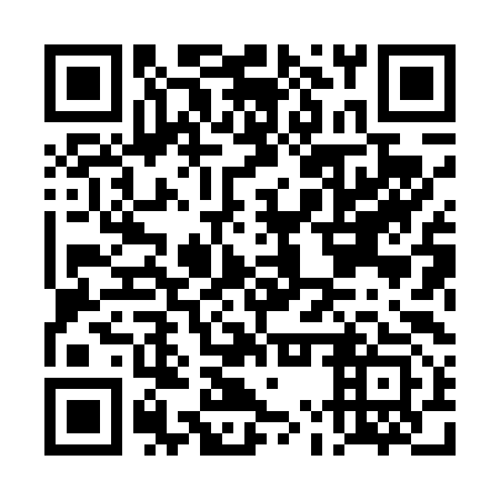 QR code for plate DMX 493