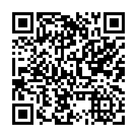 QR code for DMZ096