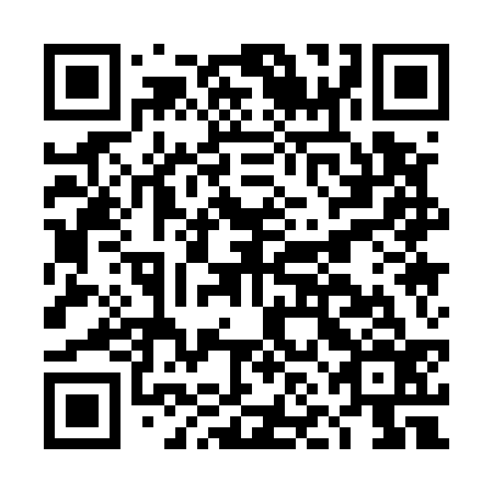 QR code for DNA 536
