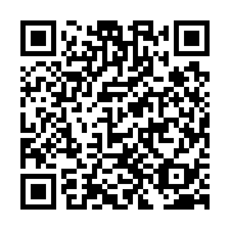 QR code for DNE 739