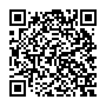 QR code for plate DNE 233