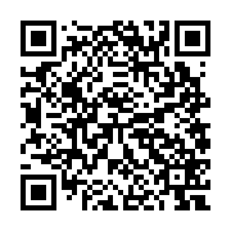 QR code for DNF 369