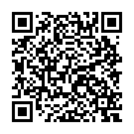 QR code for DNH 325