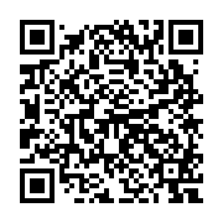 QR code for DNK 381