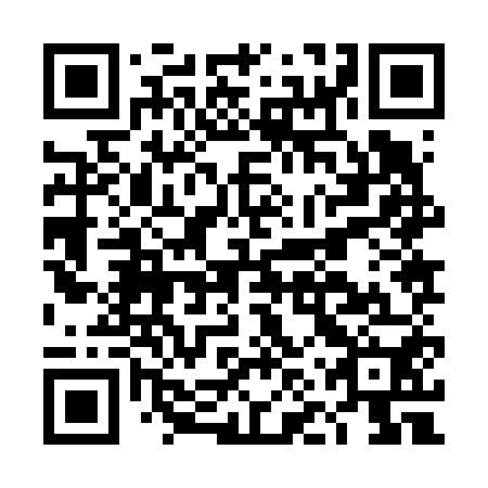 QR code for plate DNZ 650