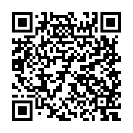 QR code for plate DOG 983