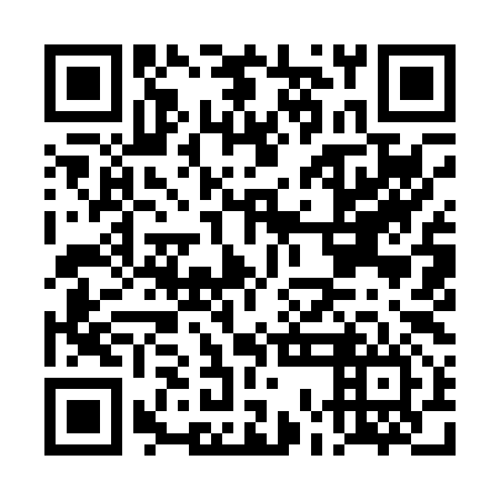 QR code for plate DOI 096