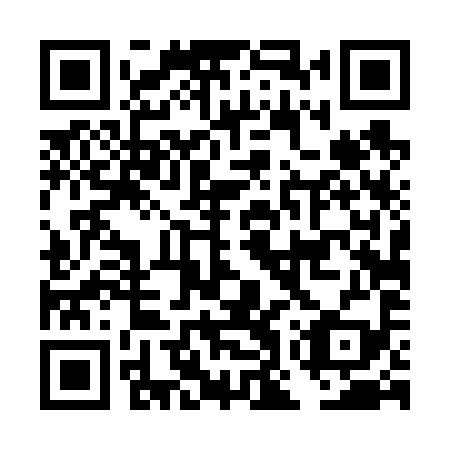 QR code for DOT699