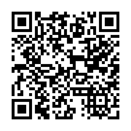 QR code for DPG 387