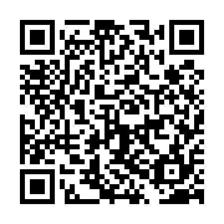 QR code for DPG 514