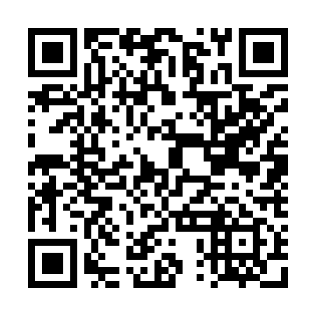 QR code for DPG 919