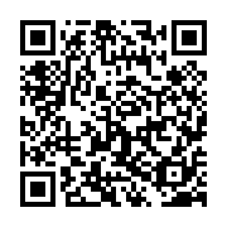 QR code for plate DPN 010