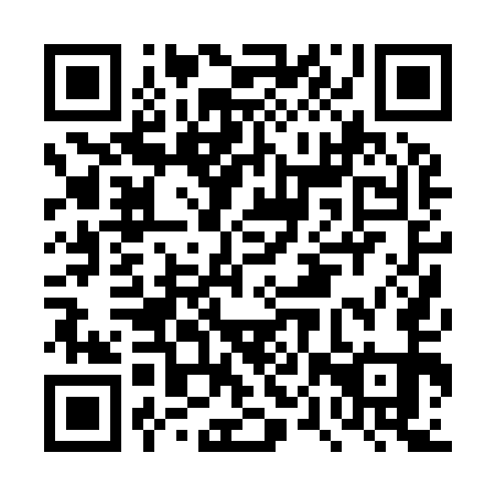 QR code for DPP 951