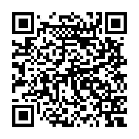 QR code for DPS 575