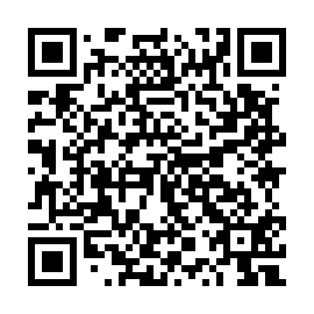 QR code for DPY 511