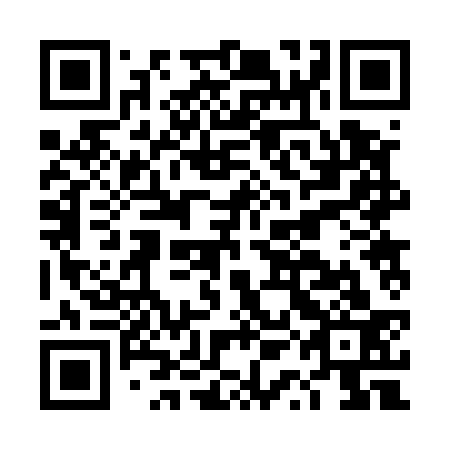 QR code for DQB 533