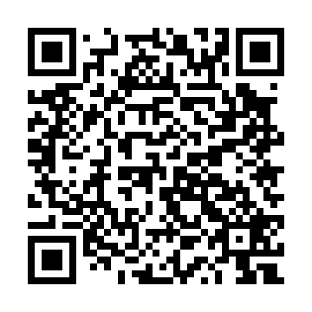 QR code for DQE029
