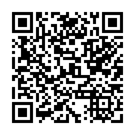 QR code for DQF 383