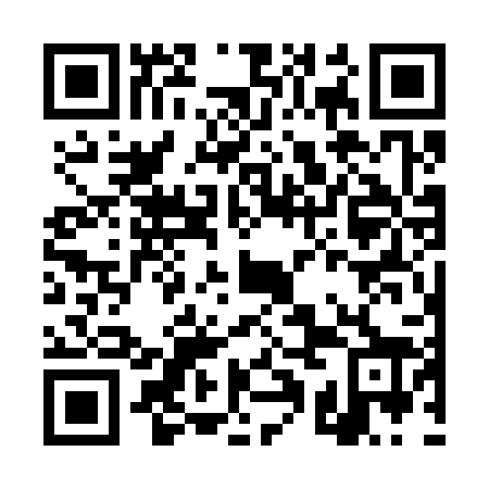 QR code for DQG 328