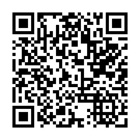 QR code for DQG 447