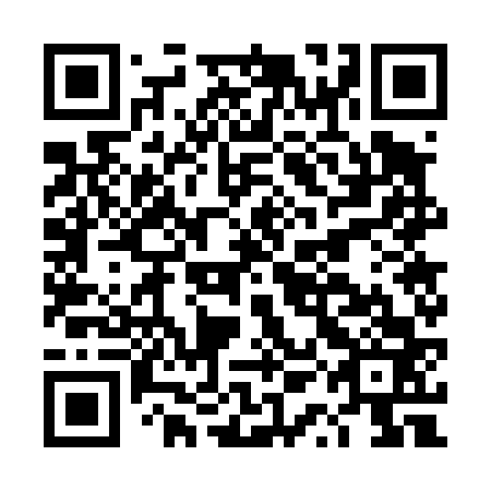 QR code for DQG 463