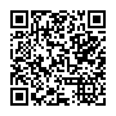QR code for DQG 487
