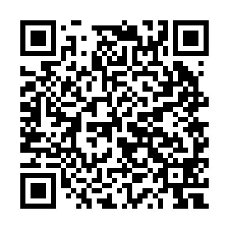 QR code for plate DQG 298