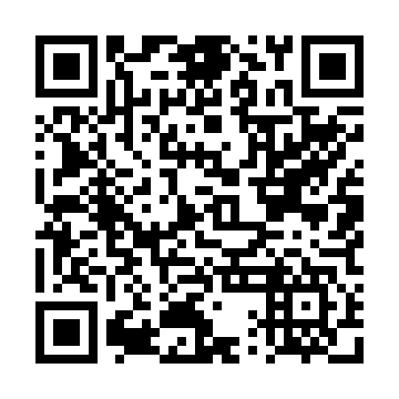 QR code for DQM 247