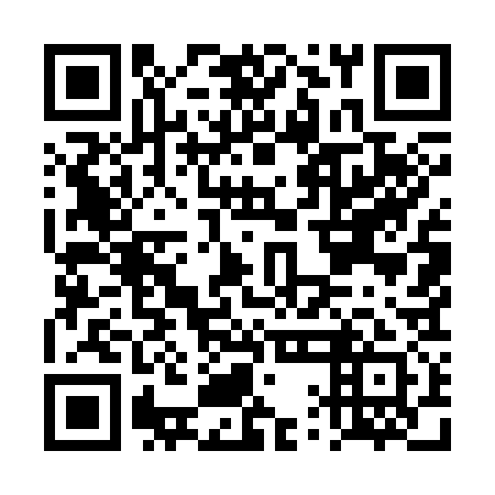 QR code for DQM 331