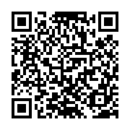 QR code for DQM 452
