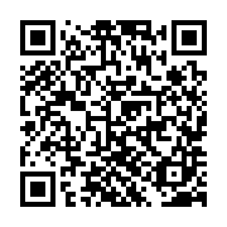 QR code for DQN 383