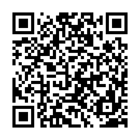 QR code for DQR 336