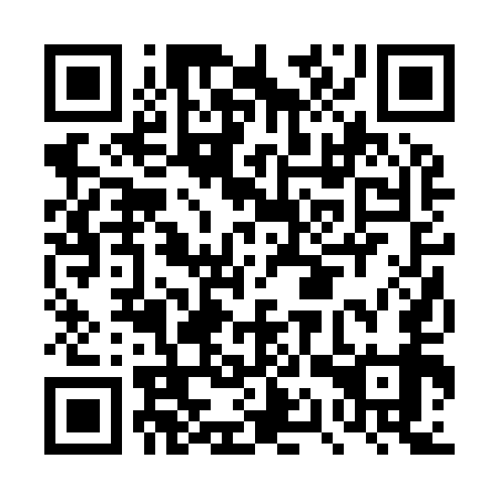 QR code for DQR 959