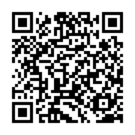 QR code for DQT 335