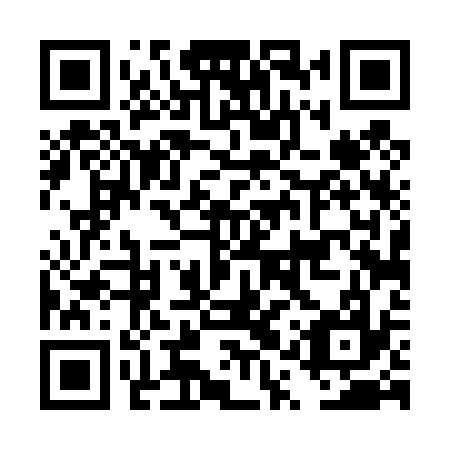 QR code for plate DQT 437
