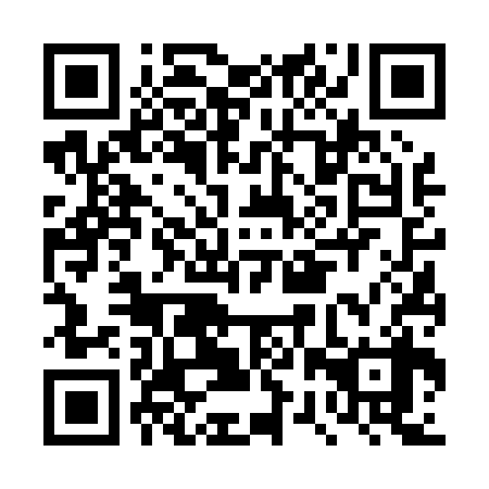 QR code for plate DRV 038