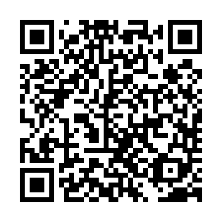 QR code for plate DSB 549