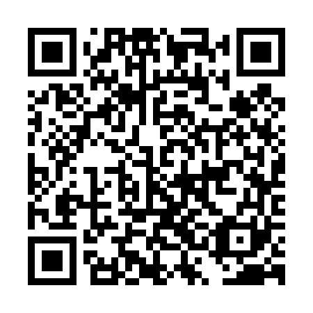 QR code for DSC 461