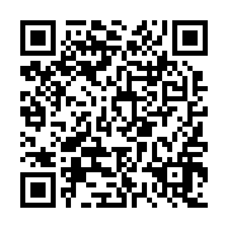 QR code for DSD 216