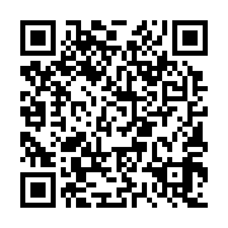 QR code for DSE 319
