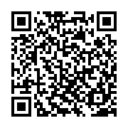 QR code for DSE 394