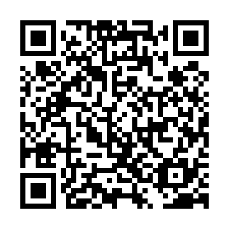 QR code for DSE 535