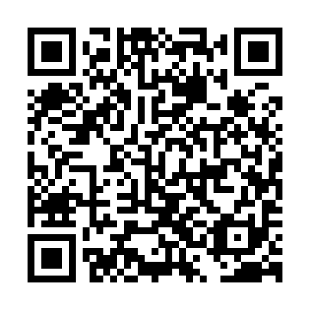QR code for DSE 991