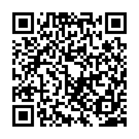 QR code for DSE312