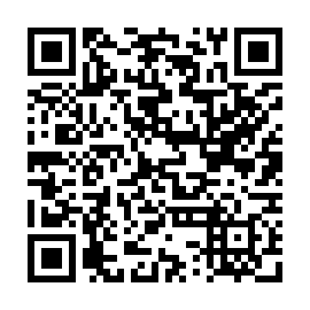 QR code for DSF 978